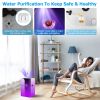 Humidifier Top Fill, Mist with Oils Diffuser Filter, 360° Rotatable Outlet