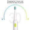 Electric Toothbrush with 3 Modes of Operation, IPX7, and 3 Brush Heads