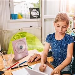 Portable Desk Fan, Quiet, 5 Blades with 3 Speeds Adjustment (Color: Pink)