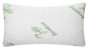 Bamboo Memory Foam Pillow, Hypoallergenic for Head, and Neck with Washable Cover