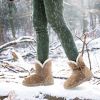 Women Ladies Snow Boots, Super Soft Fabric, Mid-Calf Plush Warm Lining