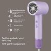 2000W Hair Dryer, 5 Temperature Adjustments with Rotating Nozzle, 220~240V